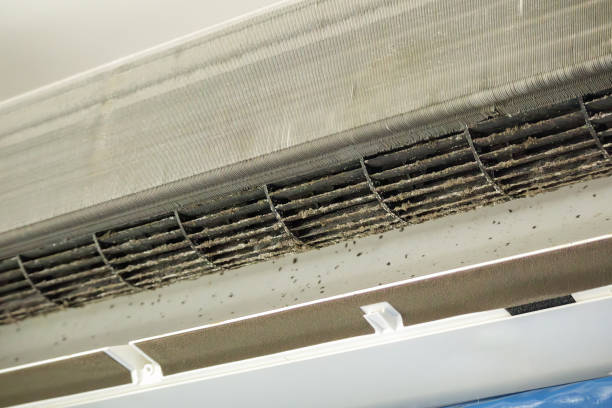 Best Affordable Air Duct Cleaning  in New Albany, IN