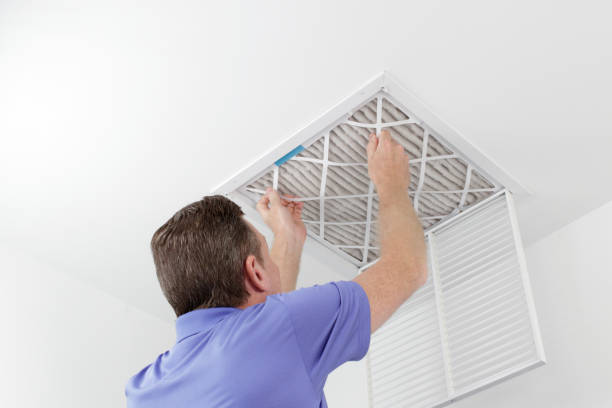 Best Air Duct Sanitizing Services  in New Albany, IN